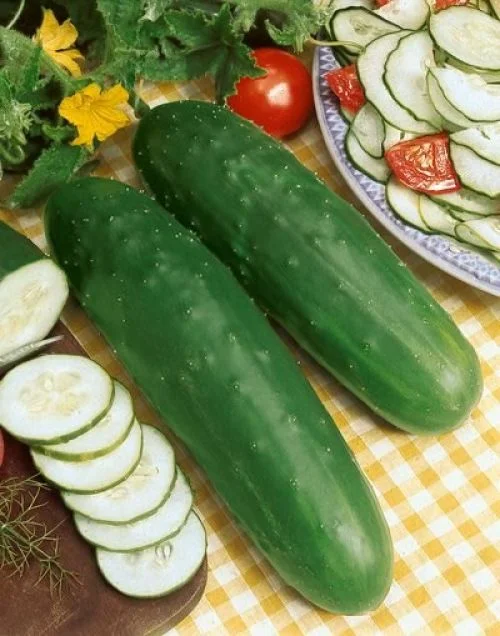 CUCUMBER MARKETMORE 76