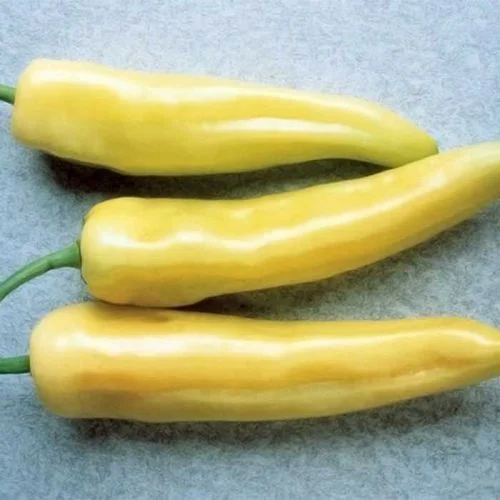 HOT PEPPER HUNGARIAN YELLOW WAX