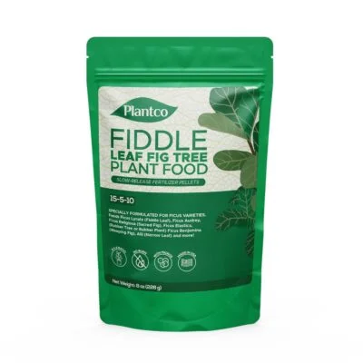 FIddle Leaf Fig Plant Food